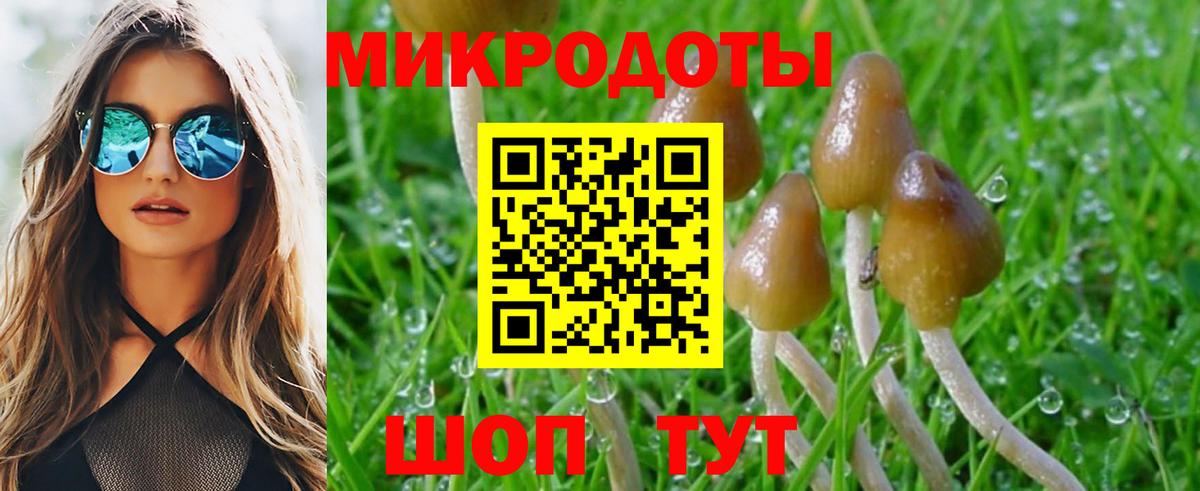 Псилоцибиновые грибы мицелий  Вход с VPN  Нижний Тагил 